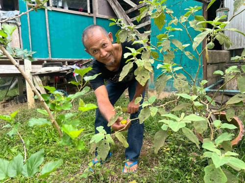 พช.ละงู ขอเชิญชวนทุกท่านปลูกผักสวนครัว เพื่อสร้างความมั่นคงทางอาหาร